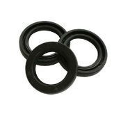Interpump Öldichtungen für 3 Kolben • Kit 2