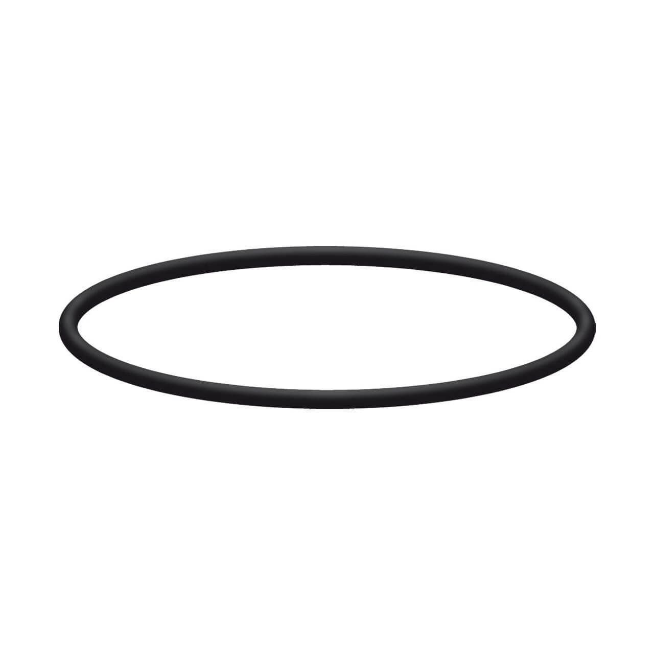 O-Ring • für 3-teiliges Edelstahl-Filtergehäuse