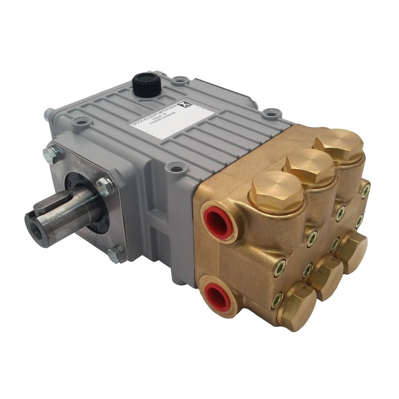 SPECK Hochdruckpumpe • Typ NP10/13-150 • Welle links • 13,1 l/min • 4 kW
