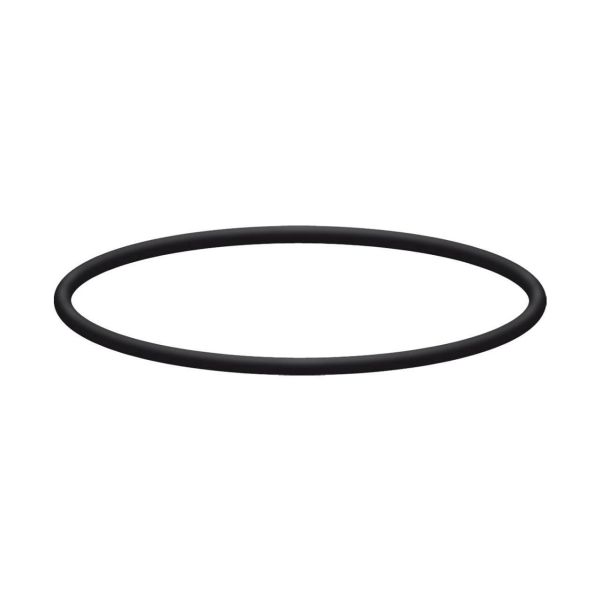 O-Ring • für 3-teiliges Kunststoff-Filtergehäuse (Filtertasse ohne Gewinde)